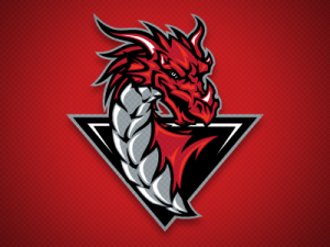 logo-dragons-nj.png